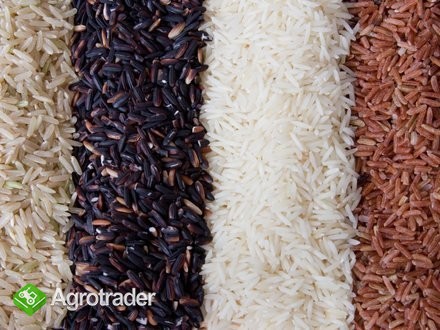 Ryż bezpośrednio od producenta, najnizsza cena.