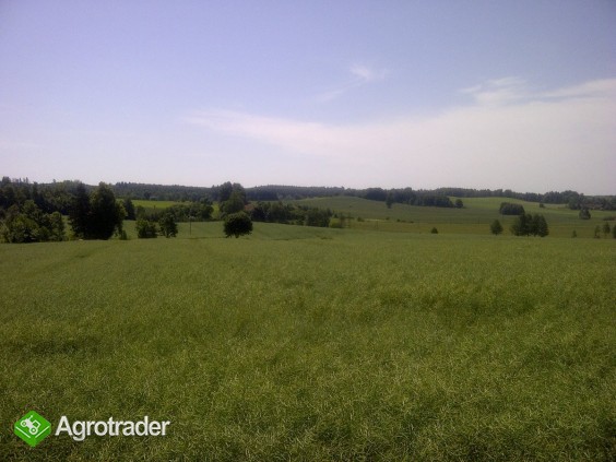 Ackerland in Polen ca. 71,5 ha, Agrarfläche besät