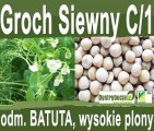 Kwalifikowane nasiona siewne grochu siewnego odm. BATUTA C/1