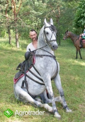 UkrainaStajnia koni w malowniczej miescowosciTanio