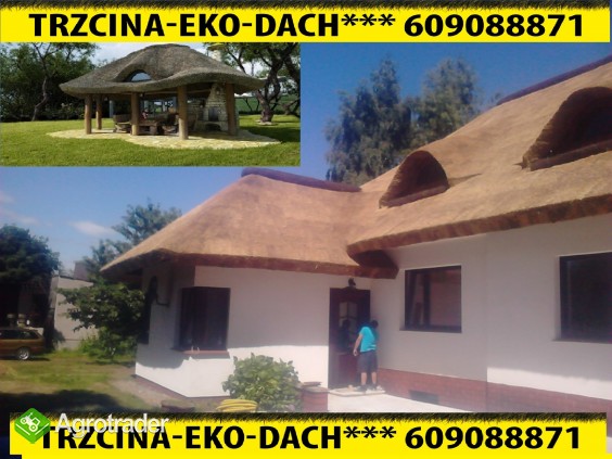 www.trzcina-eko-dach-strzecha.pl - zdjęcie 3