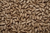 SUNFLOWER KERNELS
