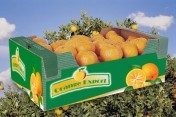 Grecki exporter pomarańczy nawiąże współpracę