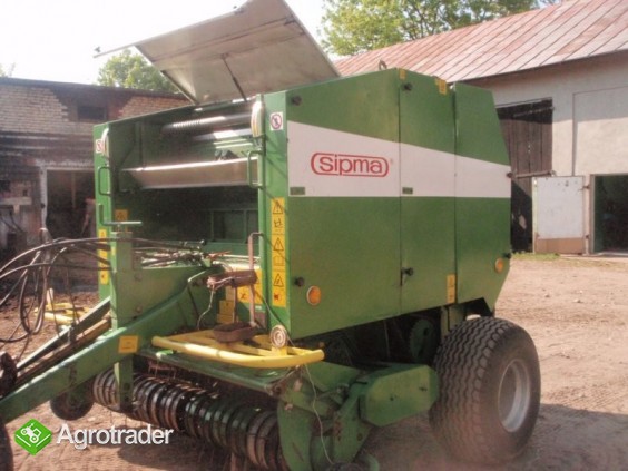 Sprzedam Prase Sipma Z581/1 - zdjęcie 2