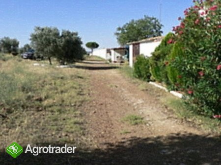 Granja perdices en finca 12 has.