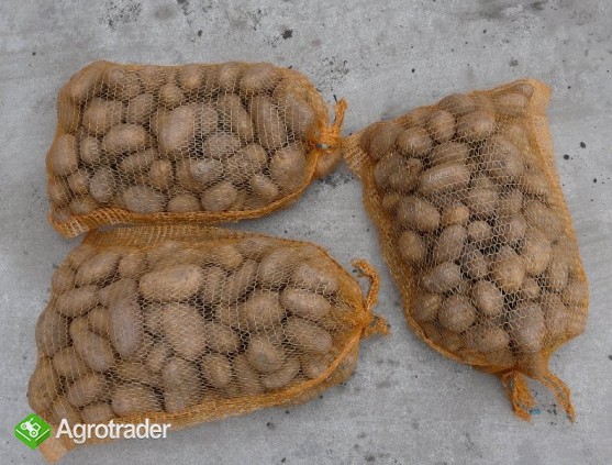 Ziemniaki ŻÓŁTE sprzedam