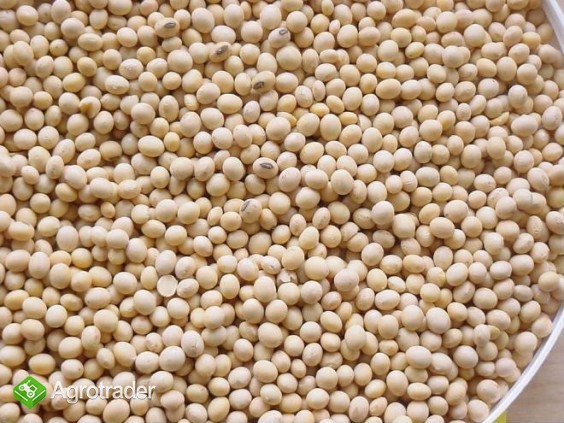 Sprzedam soję z dostawą!