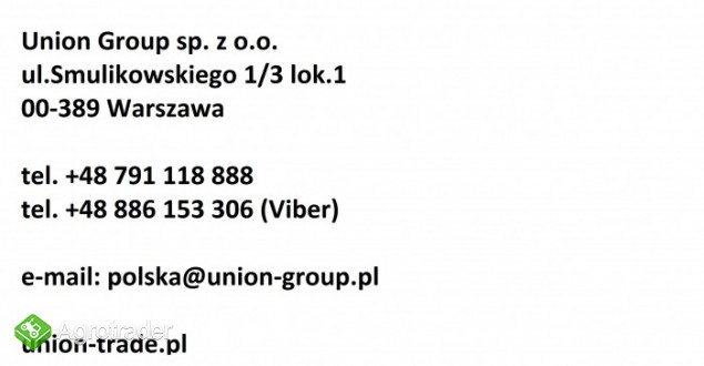 Biala gorczyca Sinapis Alba NAJTANIEJ!