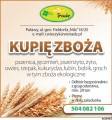 kupię żyto- skup żyta