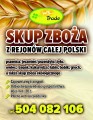 skup zboża: pszenicy, pszenżyta , owsa, jęczmienia, żyta