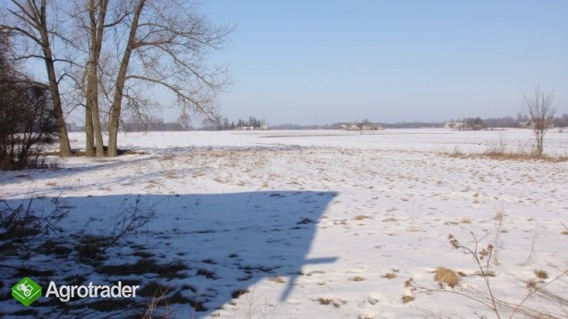 Gospodarstwo rolne 4,5ha