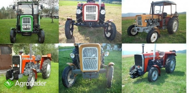 KUPIĘ URSUS 330,360,MF T25 GÓRAL NAJLEPIEJ PŁACI