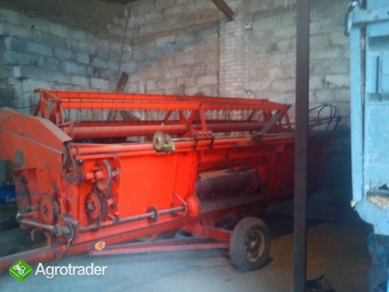 BIZON RECORD - zdjęcie 1