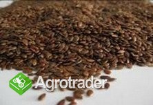 Cereals from Ukraine - zdjęcie 4