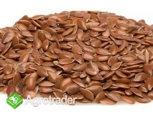 Zboża z Ukrainy - zdjęcie 4