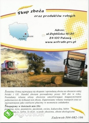 kupię rzepak - zdjęcie 1