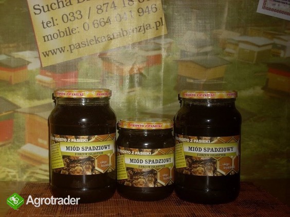 Miód spadziowy , i inne miody sprzedaż - zdjęcie 4